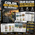 Color Blueprint