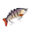 573 Lures - Home